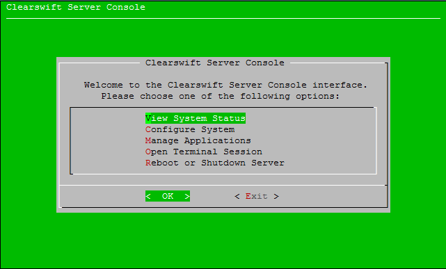 Server Console Interface